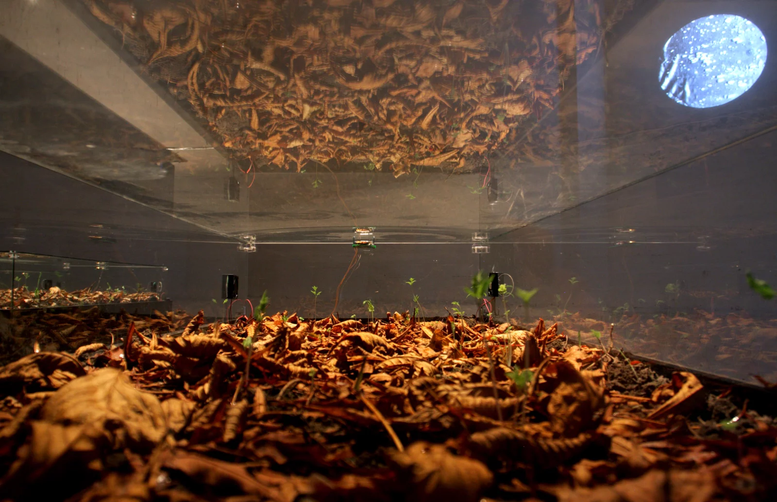 Terike Haapoja, Inhale–Exhale (detail), 2008/2013. Photo by Sandra Kantanen
