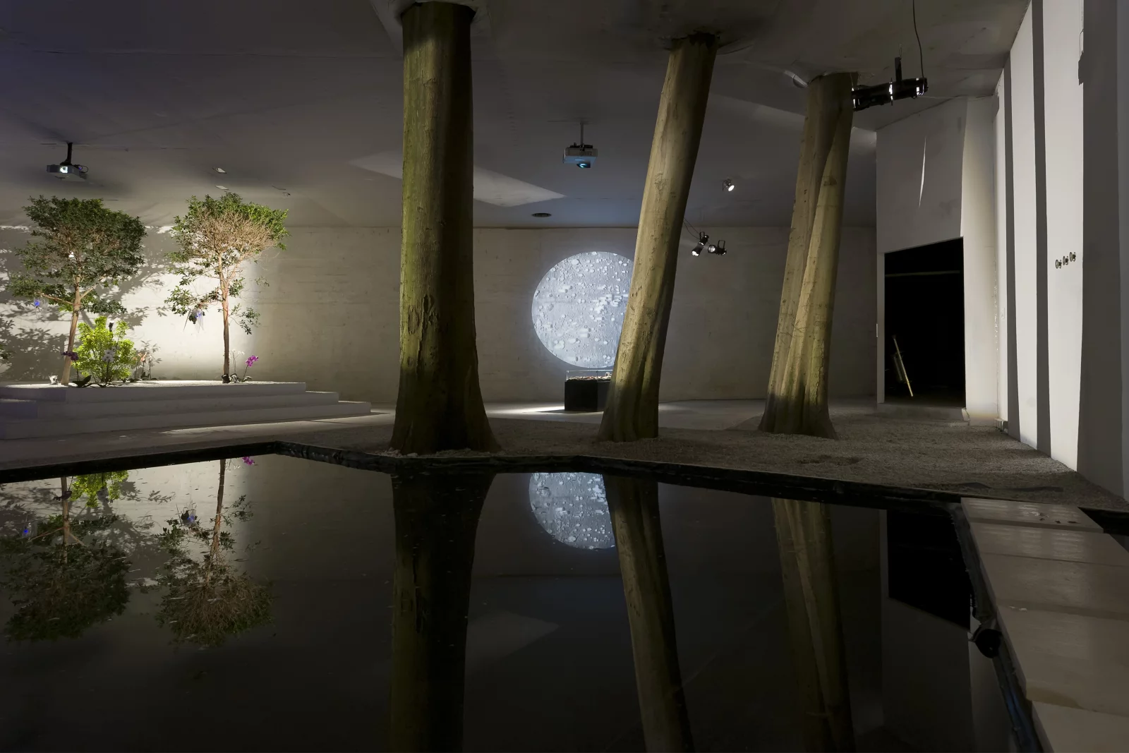 Terike Haapoja, Closed Circuit–Open Duration, 2008/2013. Installation view of Nordic Pavilion, Venice Biennale, 2013. Photo by Ugo Carmen